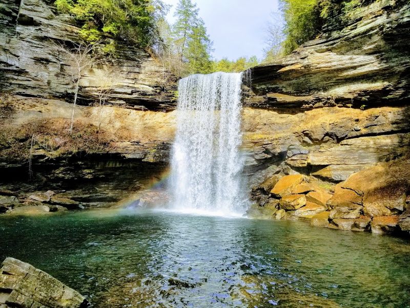 Savage Gulf State Park, South Cumberland