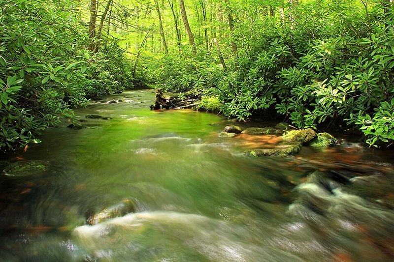 Accessibility and Practicalities