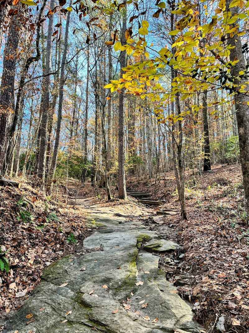 The Raven Rock Loop Trail: Gateway to the Cliff
