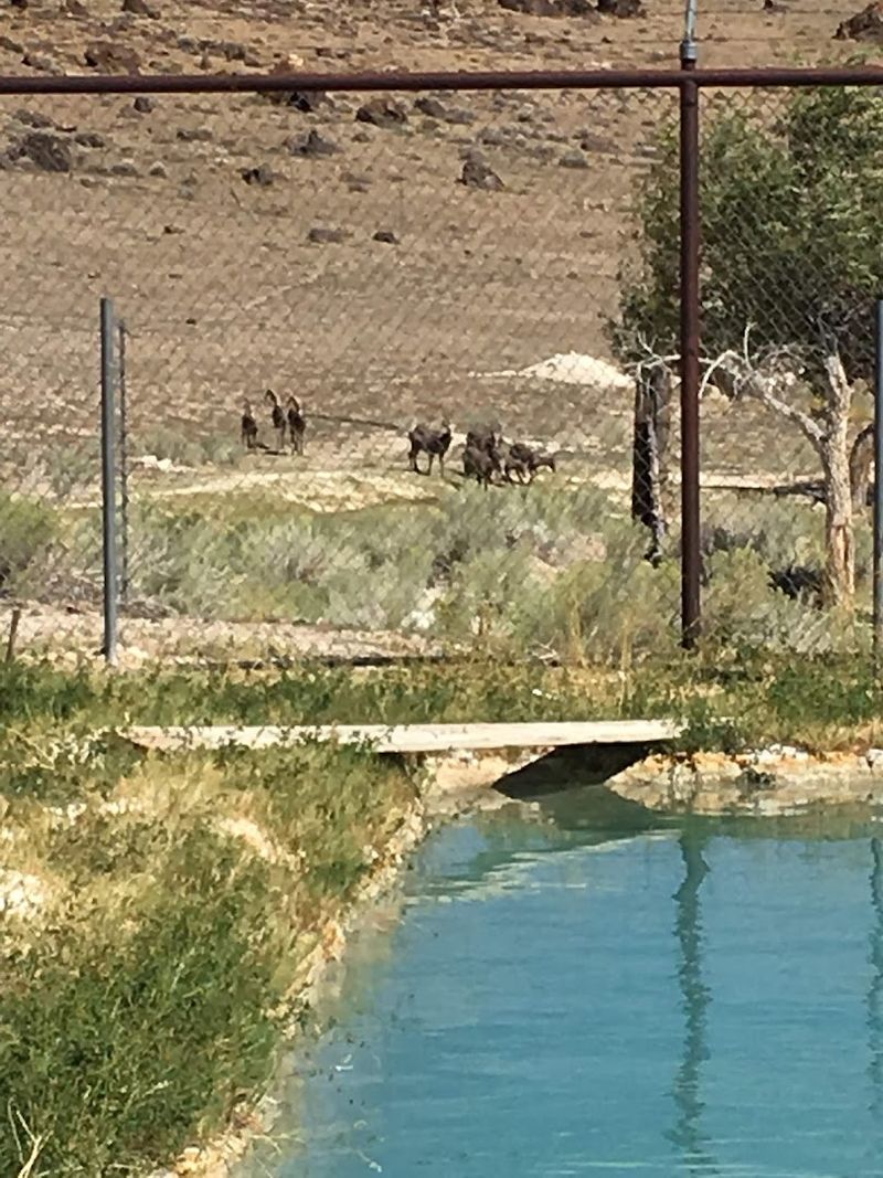 Weather And Seasonal Timing