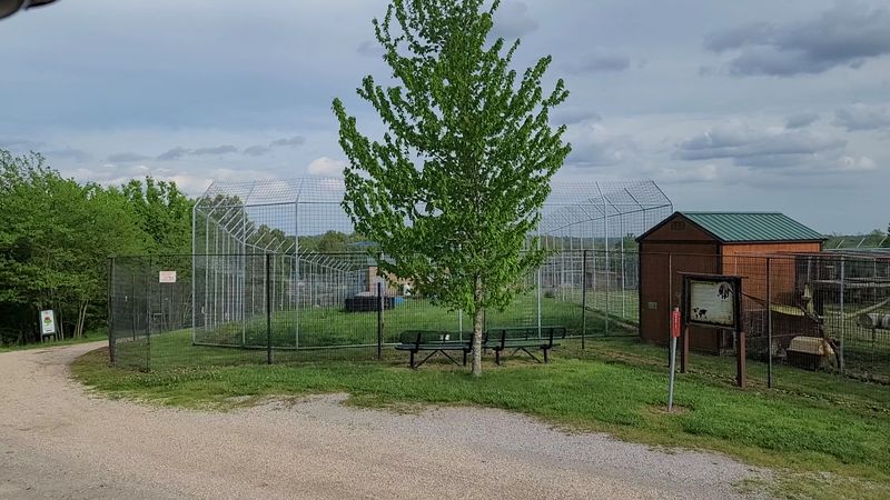 Guided Tours and Discovery Area Education
