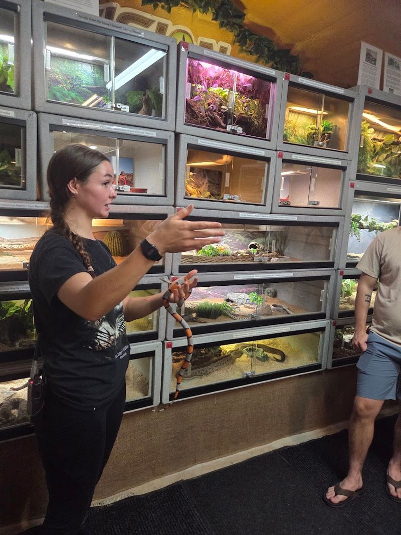 Knowledgeable and Passionate Tour Guides