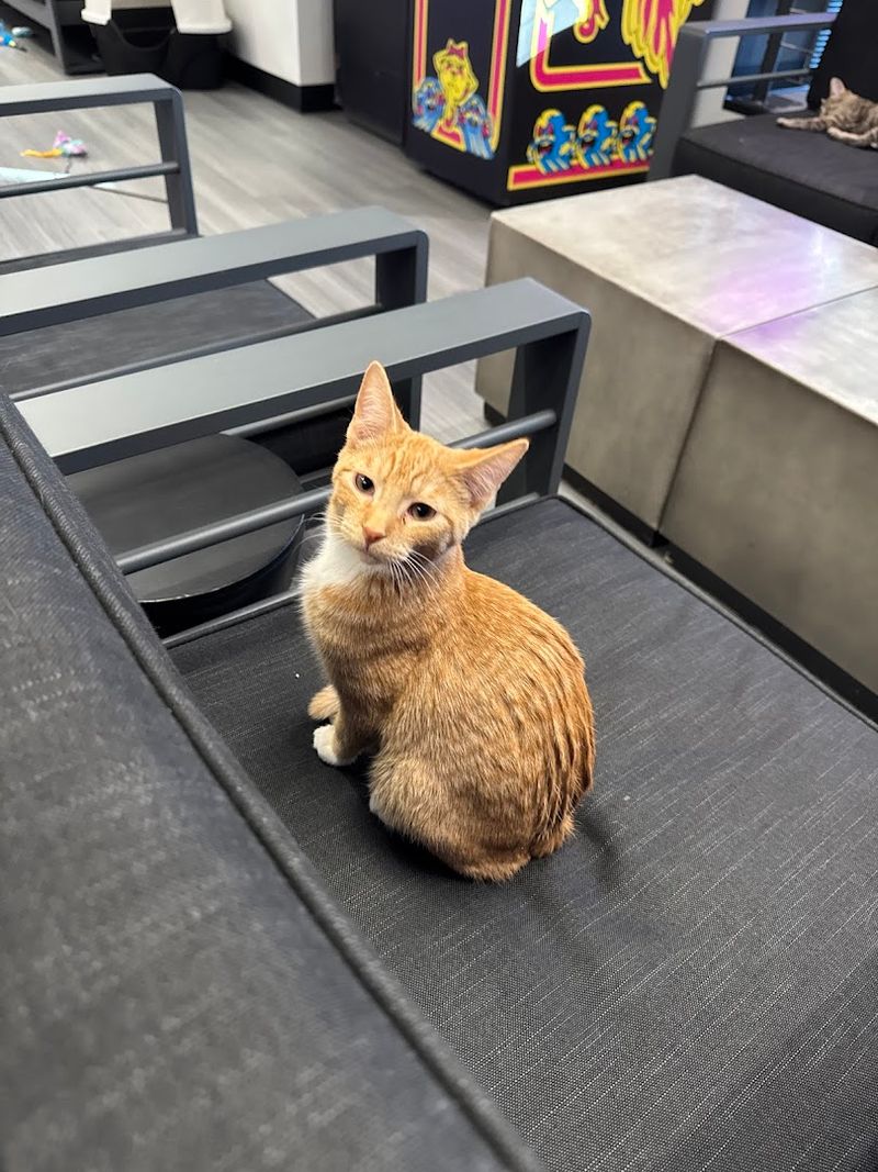 What Your Visit Includes