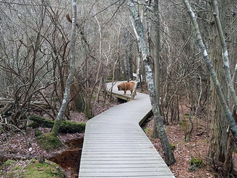 What to Bring for the Perfect Trail Visit