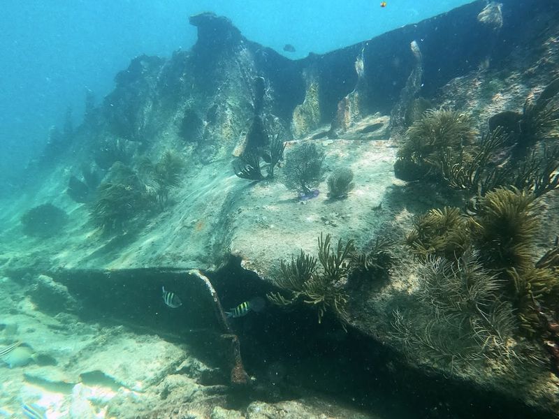 Portal to the Past: Underwater Time Capsule