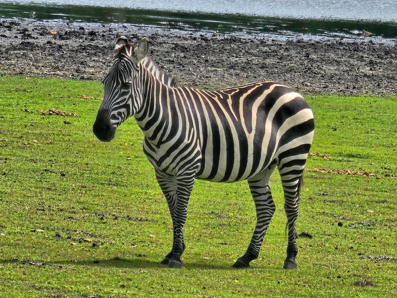 Photography Tips That Actually Work Here