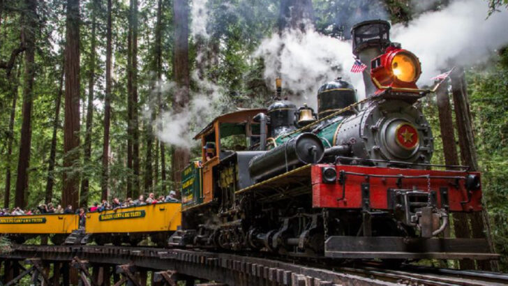 Ride An Open-Air Steam Train Through California&rsquo;s Towering Redwood Forest