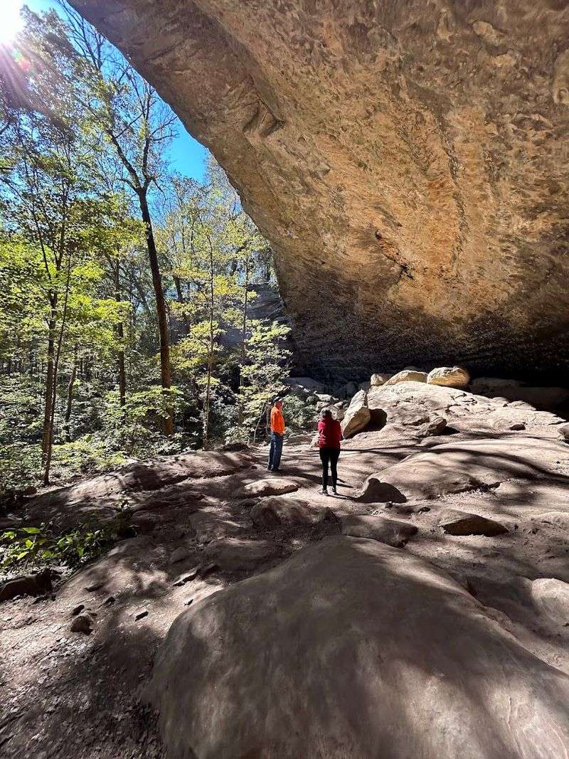 Ferne Clyffe State Park - Hawk's Cave Trail