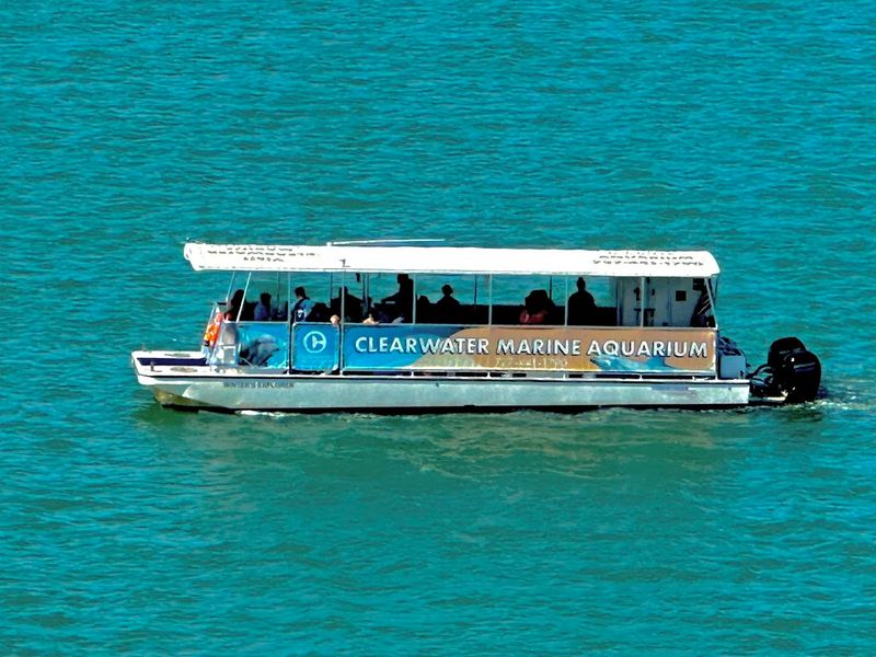 Boat Tours Along the Intracoastal Waterway