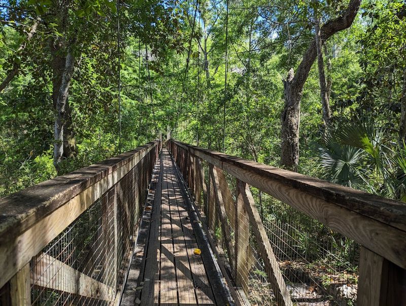 Ravine Gardens State Park Trails