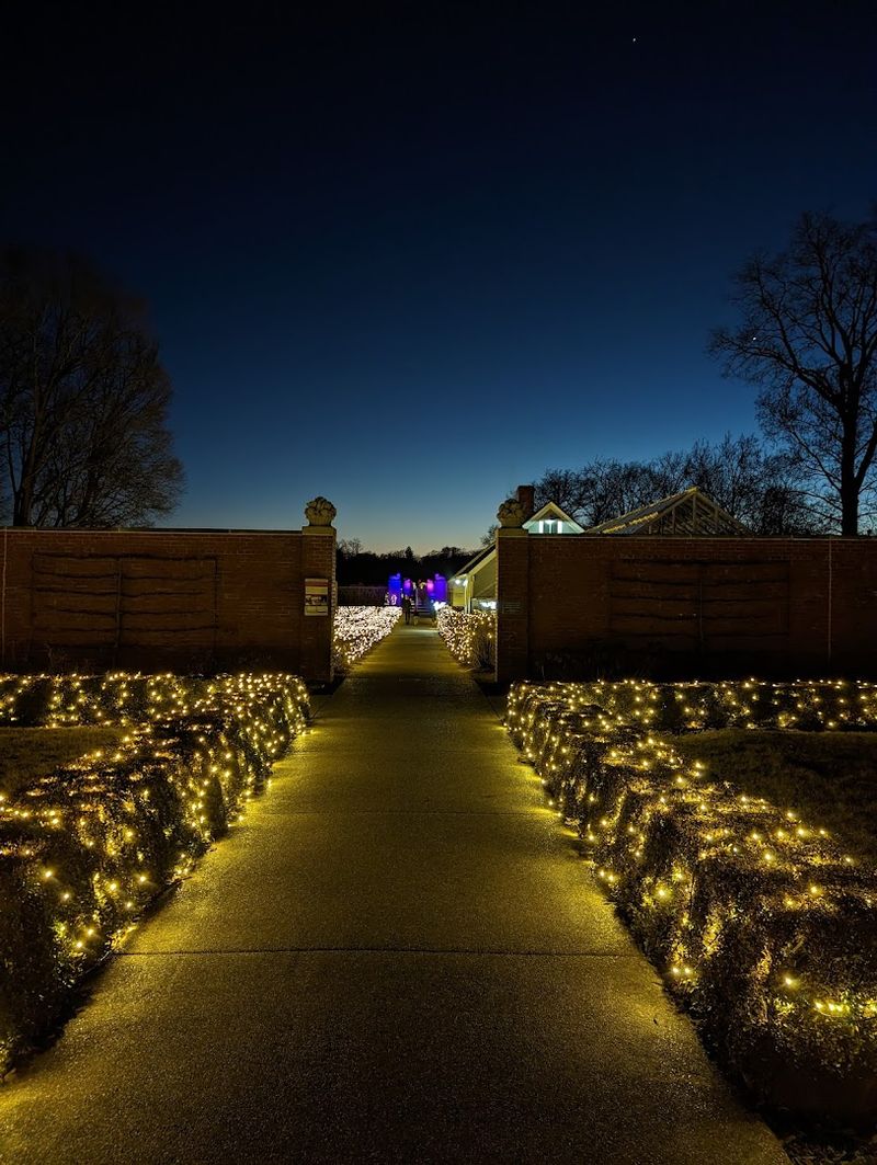 Seasonal Events and Allerton Glow: Magic After Dark