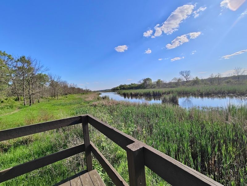 Illinois Beach State Park - Pine Dune and Dead River Loop (Lake County)