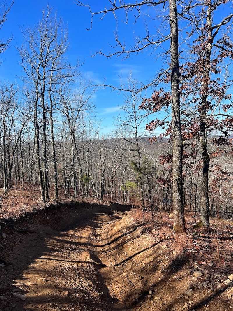 Mud Runs After The Rain