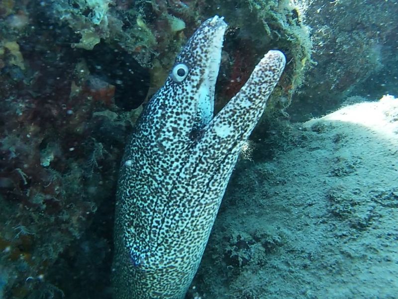 Wildlife Highlights You Can Actually Spot