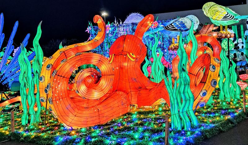 AMC Concord Mills 24: Movies As A Midday Reset