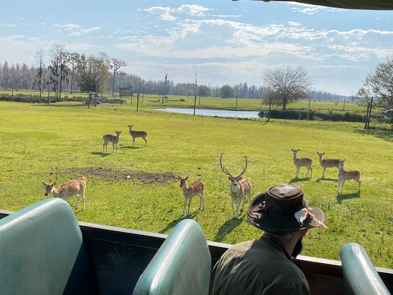 Booking, Pricing, and Reservation Tips