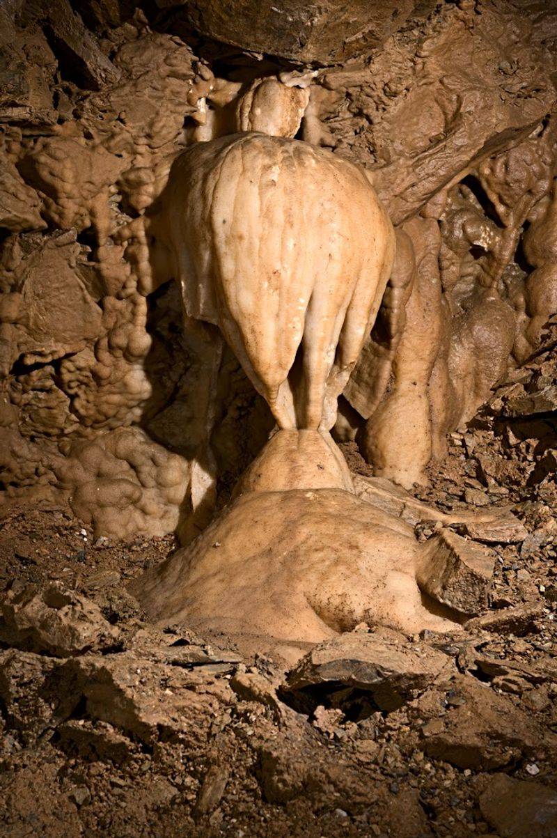 Best Times To Go And Crowd Windows