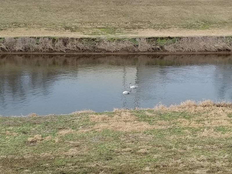 Best Times and Seasonal Tips