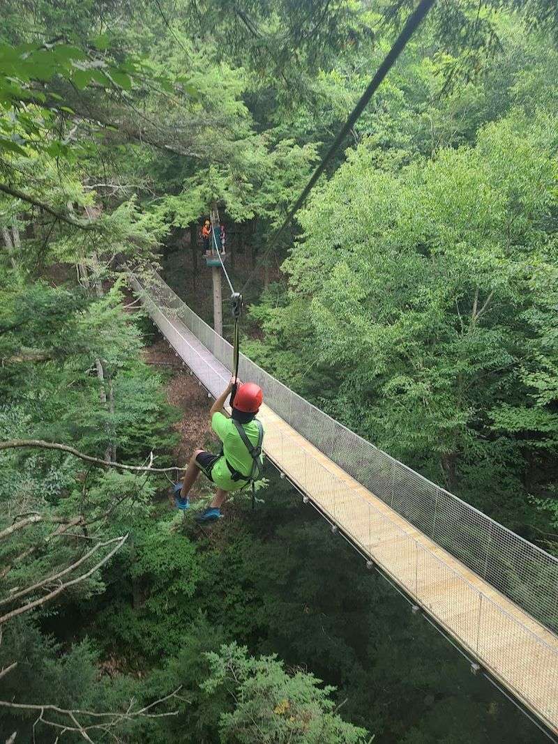 The Ravine Zip Line