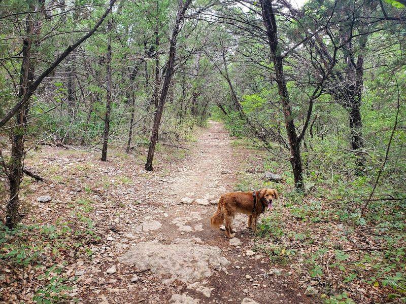 Pets, Families, and Accessibility: A Trail That Welcomes Everyone