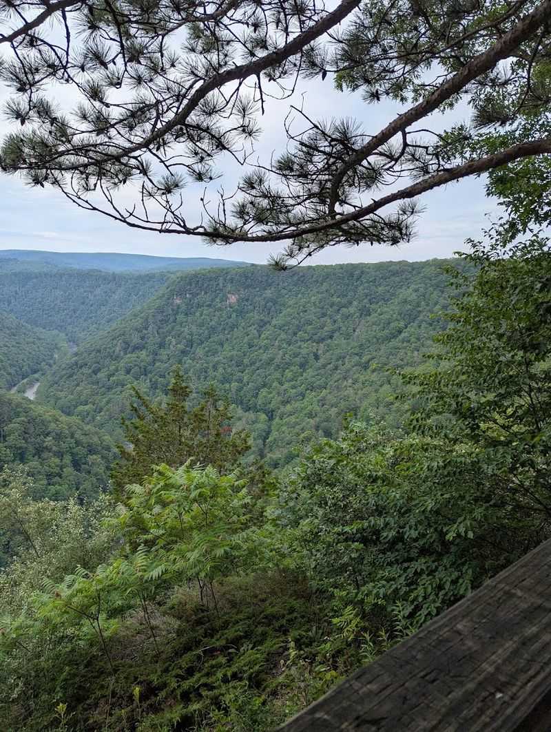 Photography Tips From the Rim