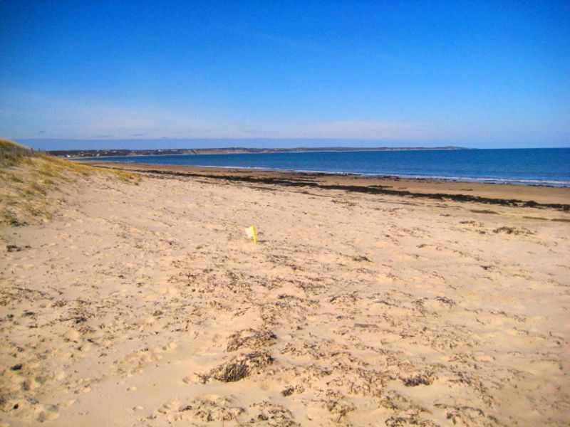 Scusset Beach State Reservation, Sandwich