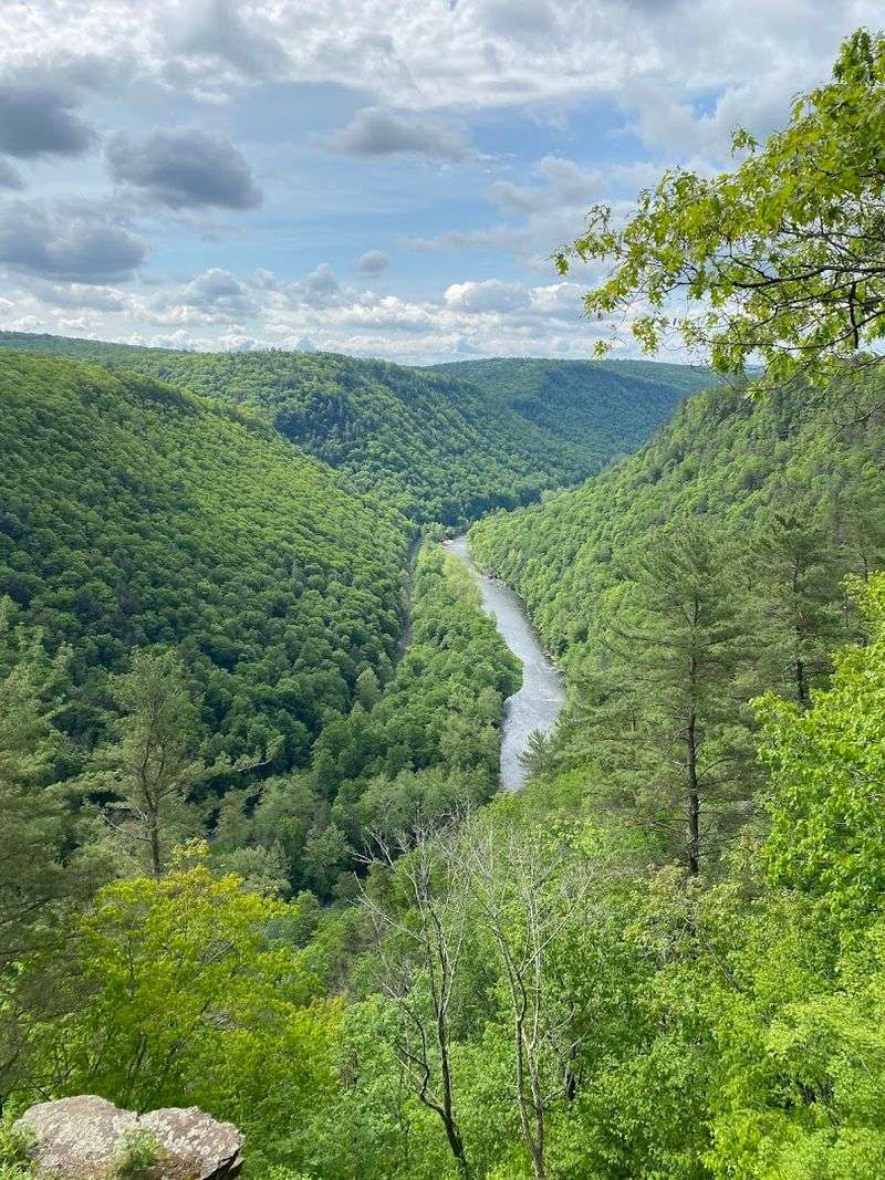 Pine Creek Gorge – Pennsylvania Grand Canyon