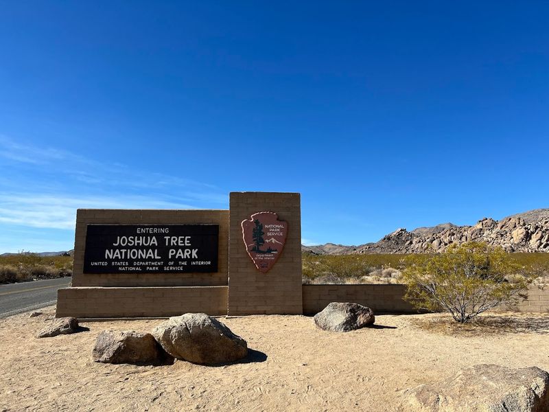 Joshua Tree National Park — Joshua Tree, CA