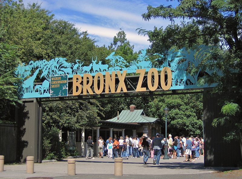 Bronx Zoo - Bronx, NY