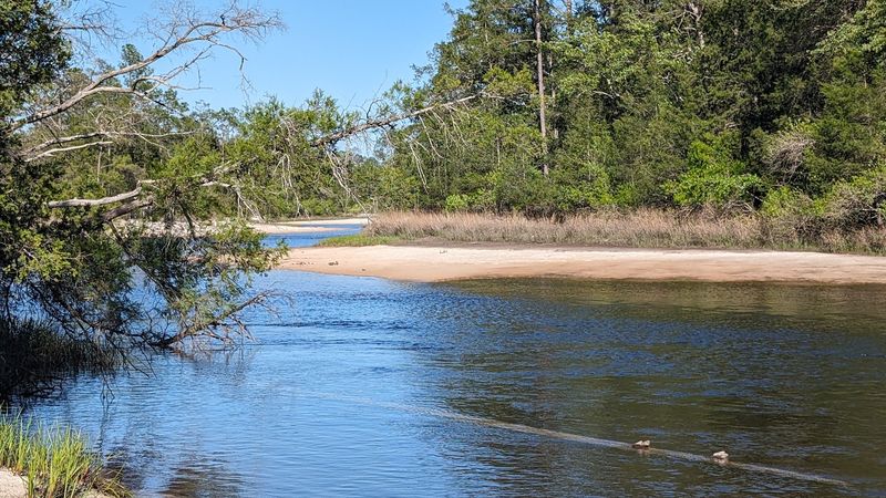 Kayaking the Blackwater River