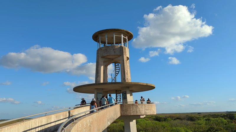 Shark Valley by Bike, Everglades