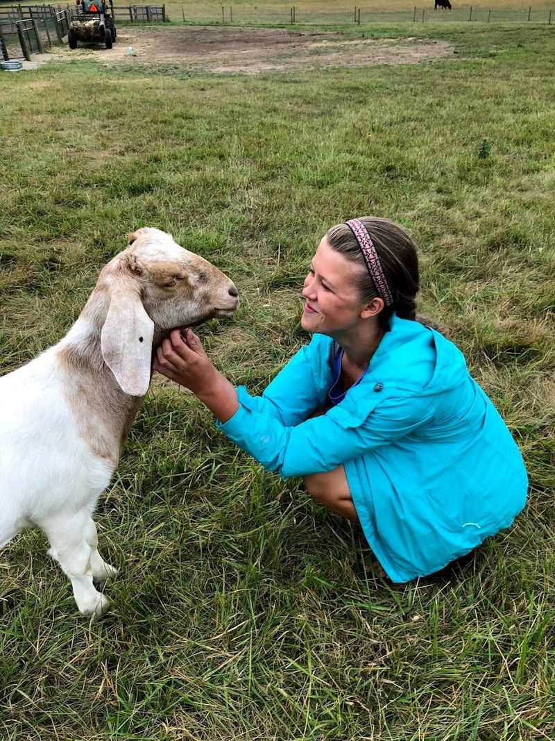Barn Sanctuary (Chelsea, Michigan)