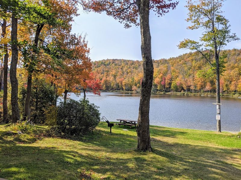 Savoy Mountain State Forest, Florida