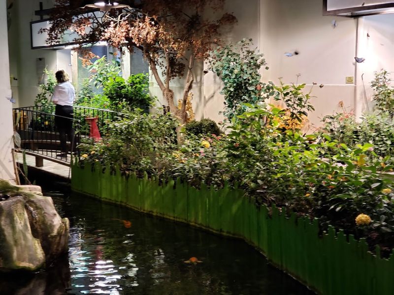 Audubon Aquarium and Insectarium, New Orleans