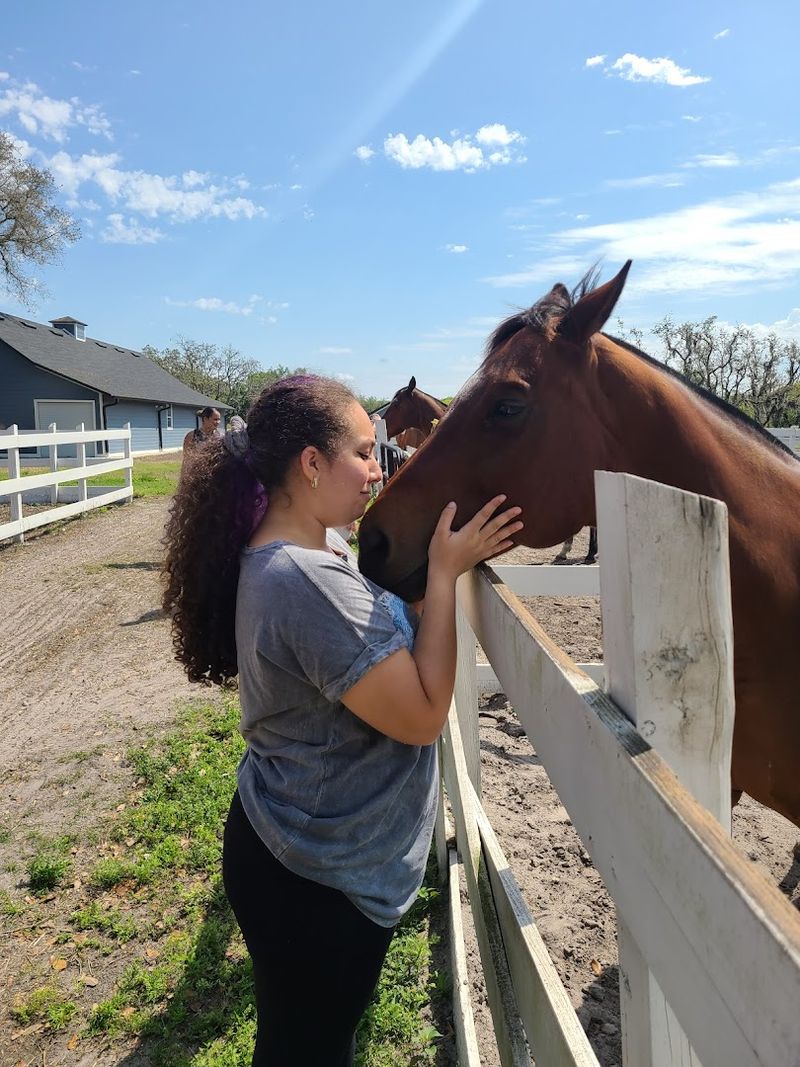 Animal Welfare And Farm Care