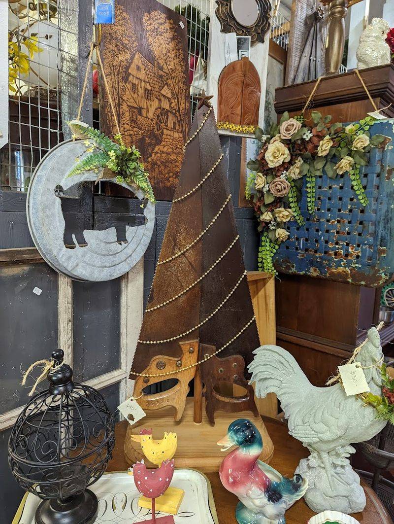 Pet-Friendly Strolls And Rescue Connections