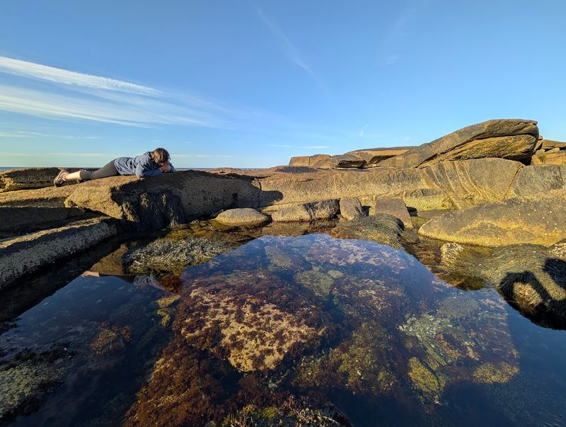 Checking Out the Tide Pools