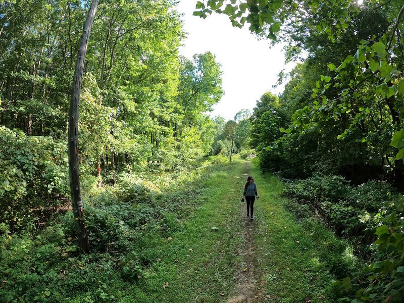 Easy Escape from New York City