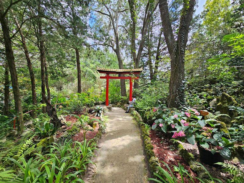 Accessibility and Gentle Routes