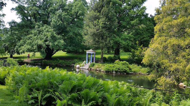 The Wetlands and Wildlife Preserve: Where Nature Runs Wild