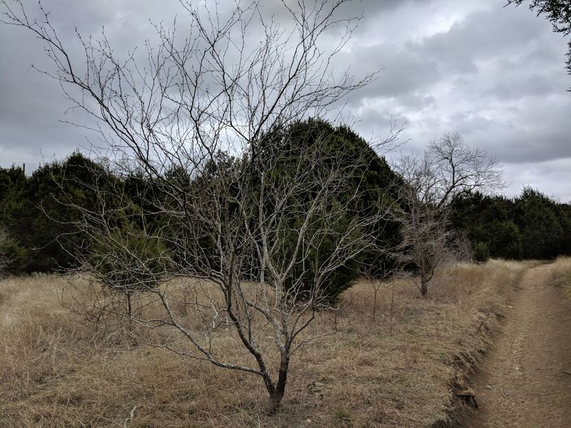 Safety and Trail Etiquette: Hiking Smart on Shared Paths