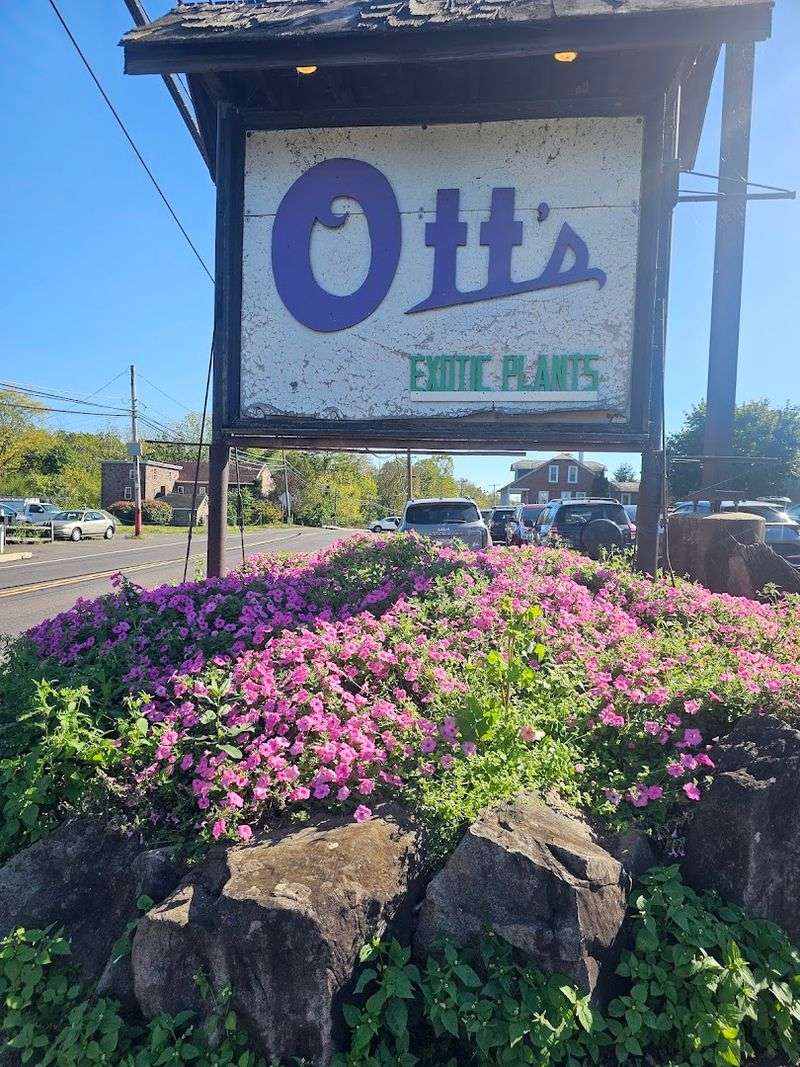 Essential Visitor Information for Planning Your Trip