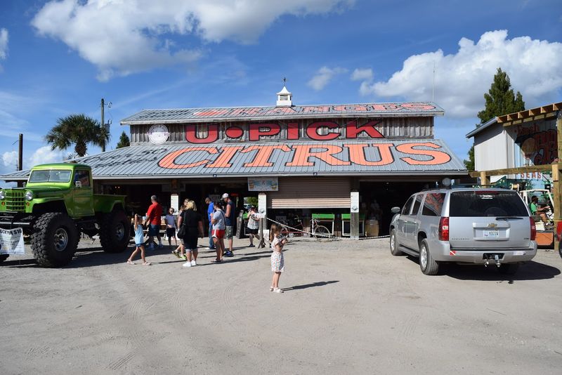 Food Trucks and Refreshments