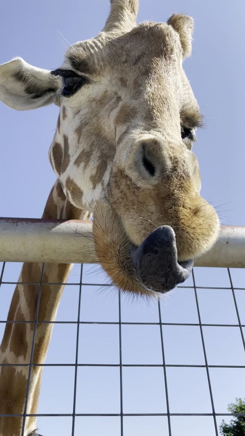 Smart Food Strategy and Picnic Spots