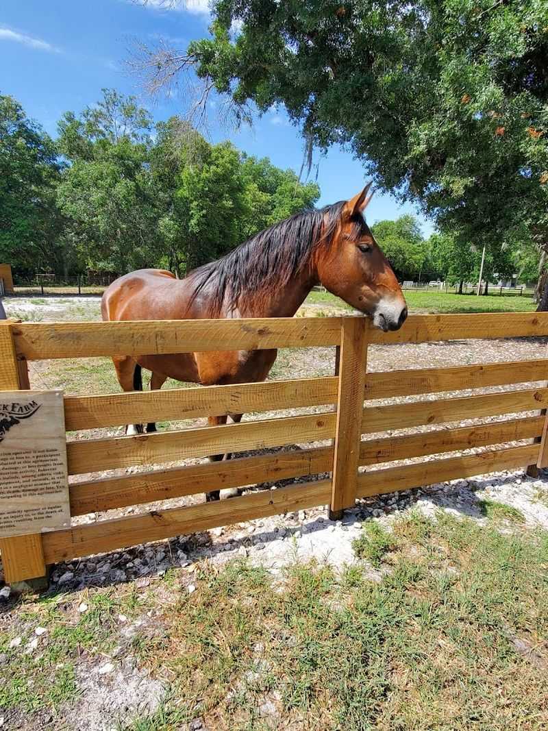 Essential Visitor Info Before You Go