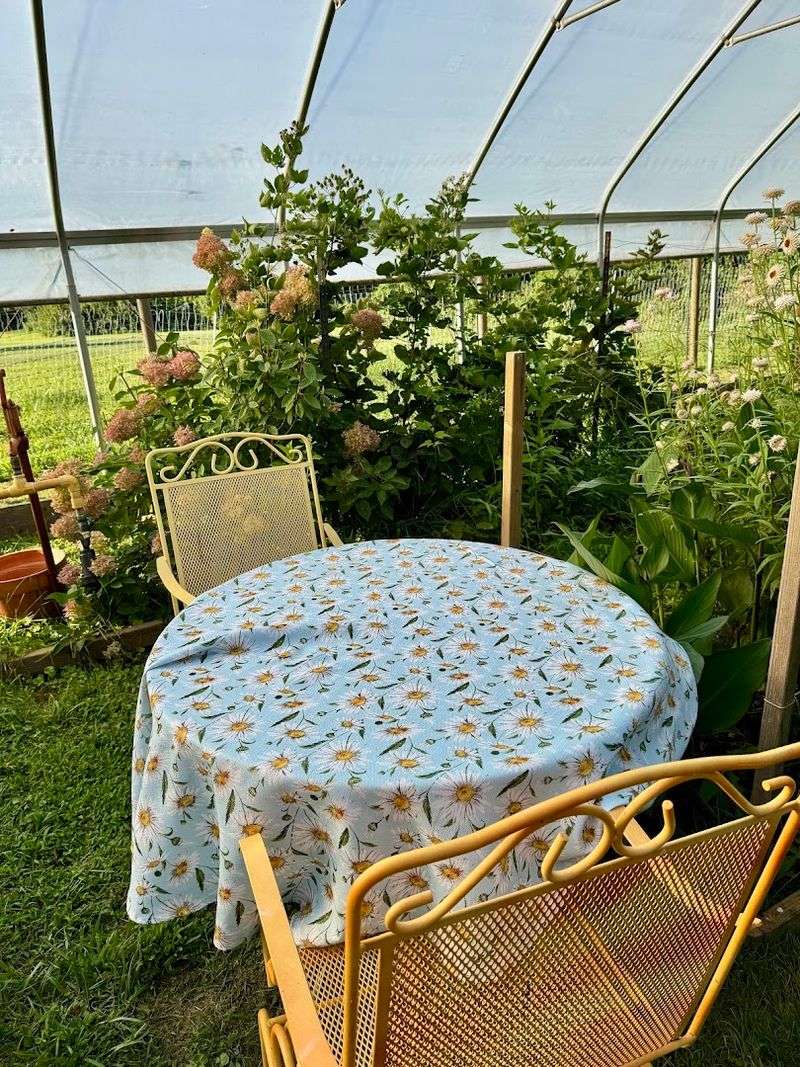 Small Events, Ladies Night, and Photos