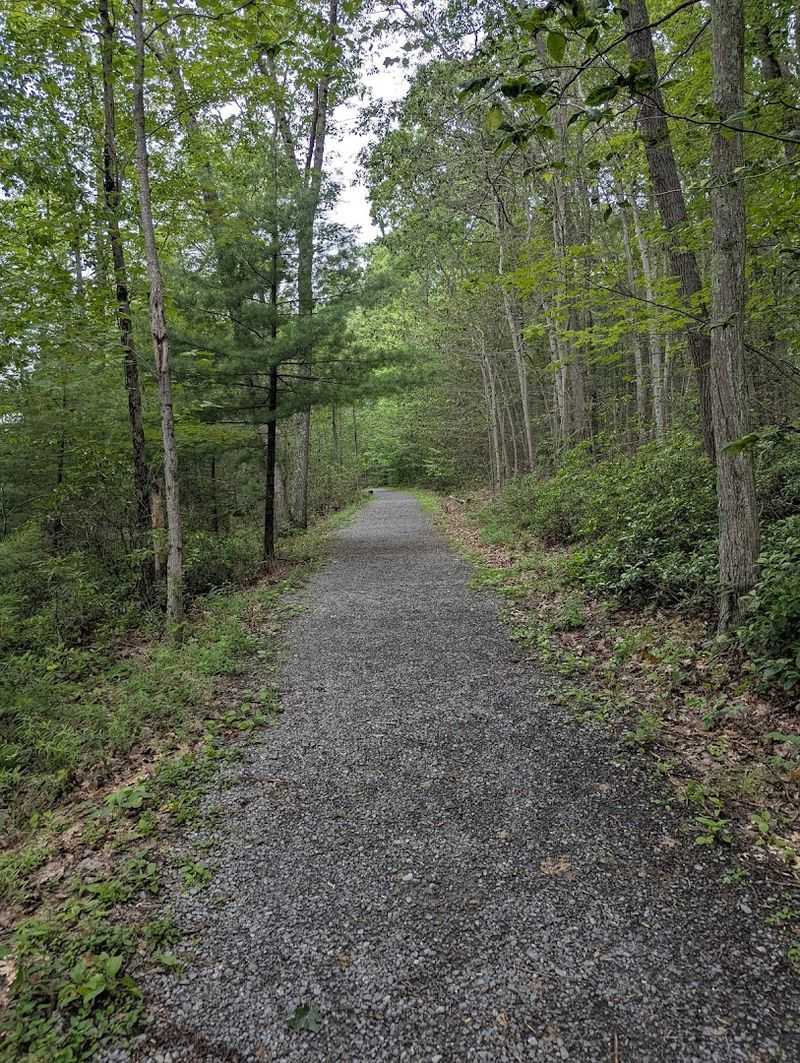 Wildlife and Leave No Trace