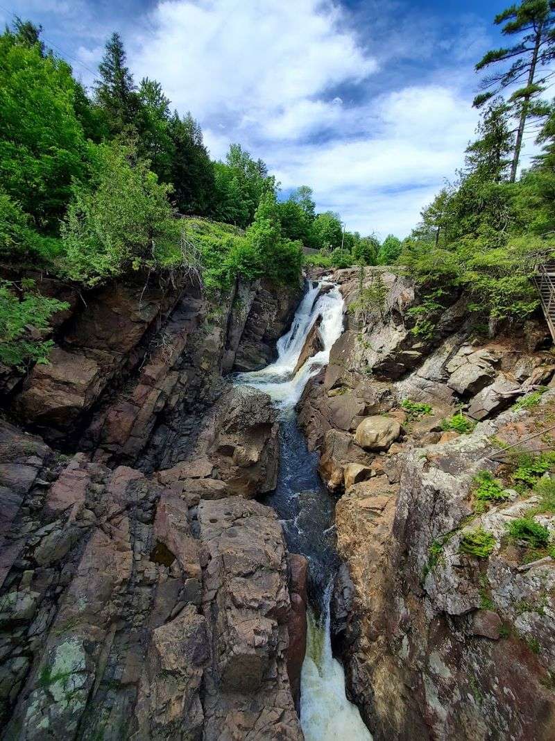 Geology and Natural History