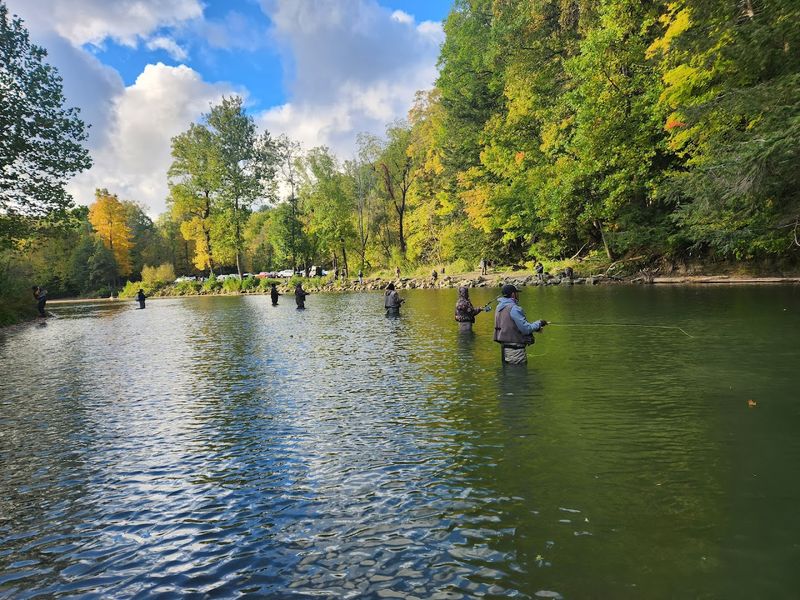 Why Erie Bluffs Feels Wilder Than Nearby Hotspots