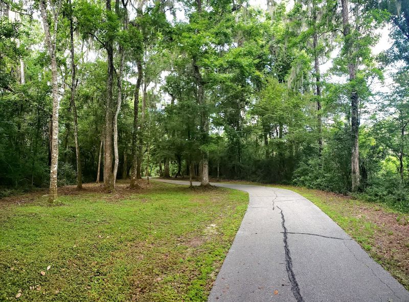 Safety, Etiquette, and Shared-Use Smarts